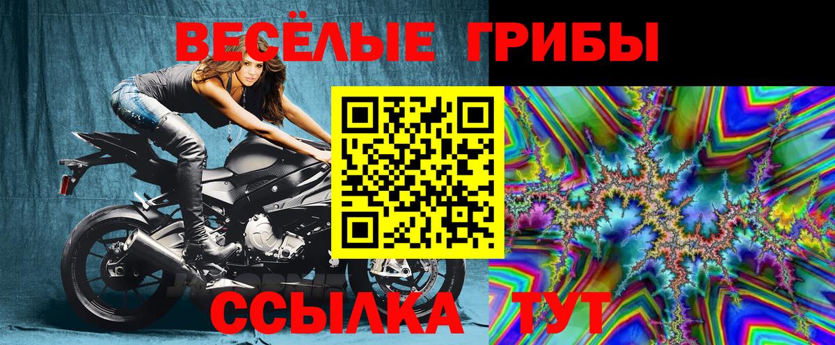 купить закладку  Псилоцибиновые грибы прущие грибы  Ялта  Вход с VPN  Галлюциногенные грибы Psilocybe 